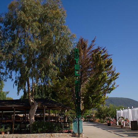 Hotel Hellas Epidaurus Extérieur photo